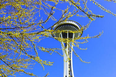 Space Needle