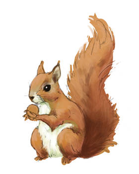 Squirrel Deviantart Explore the Best Squirrel Art | DeviantArt