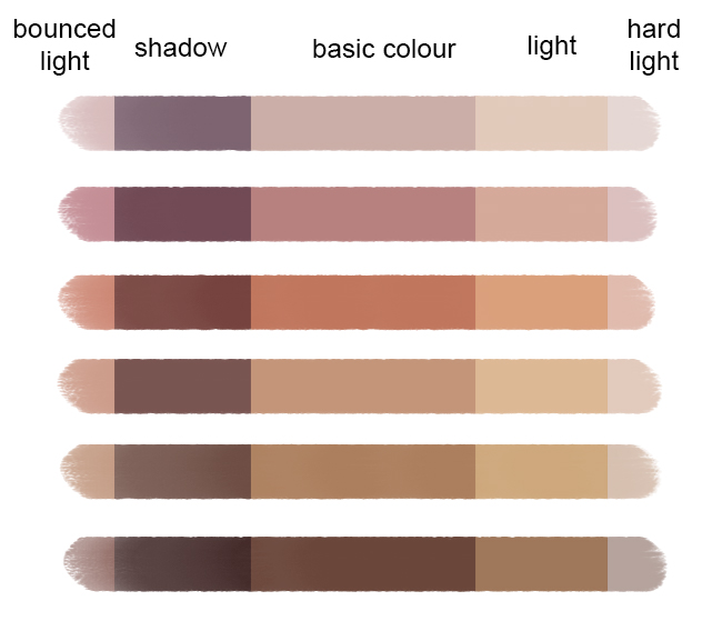 Skin Colour Palette - hard