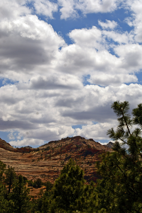 Cloudy Desert