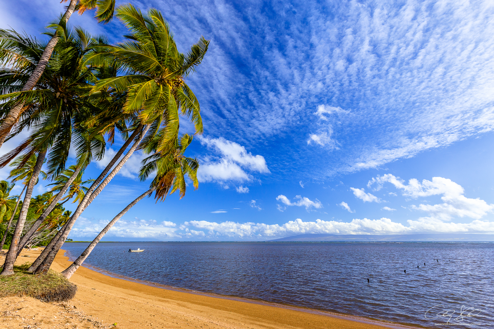 Shores of Molokai