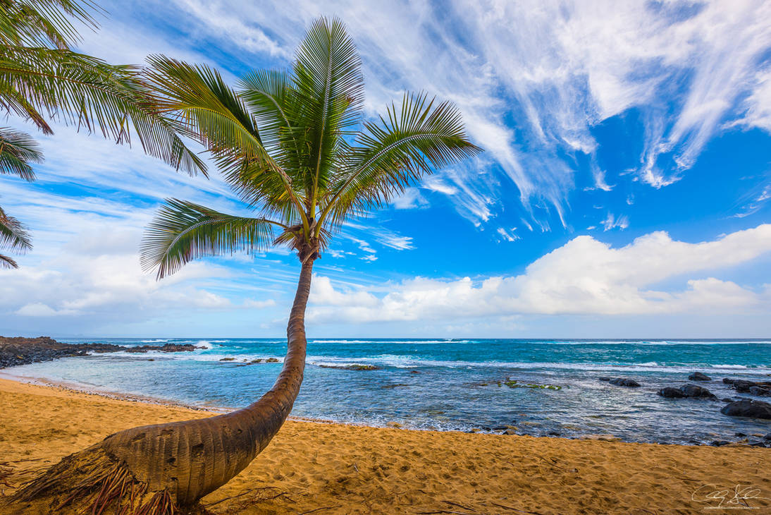 Sunday Morning Paradise by AndrewShoemaker on DeviantArt