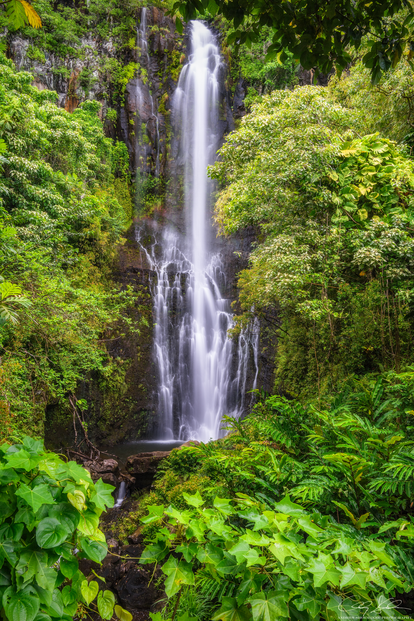 Enter Wailua