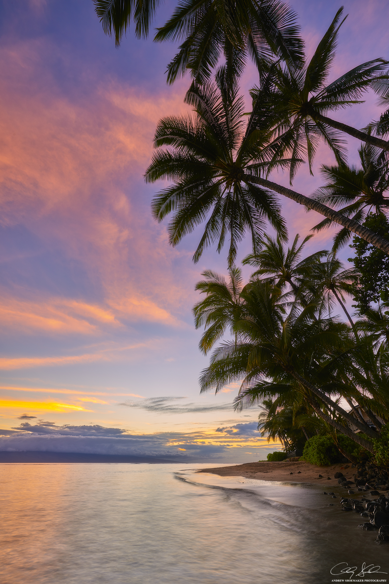 Lahaina Bliss