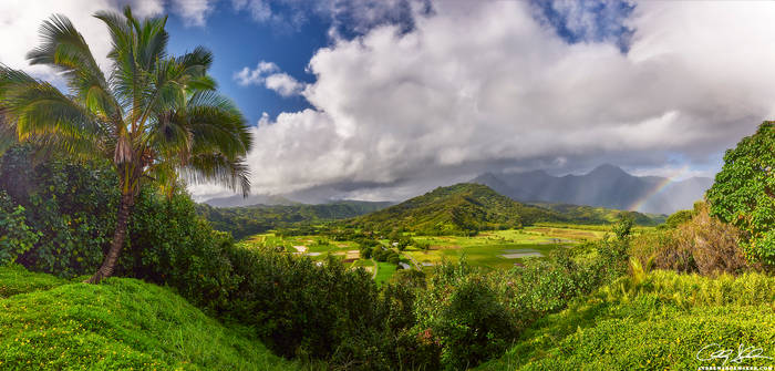 Hanalei Classic