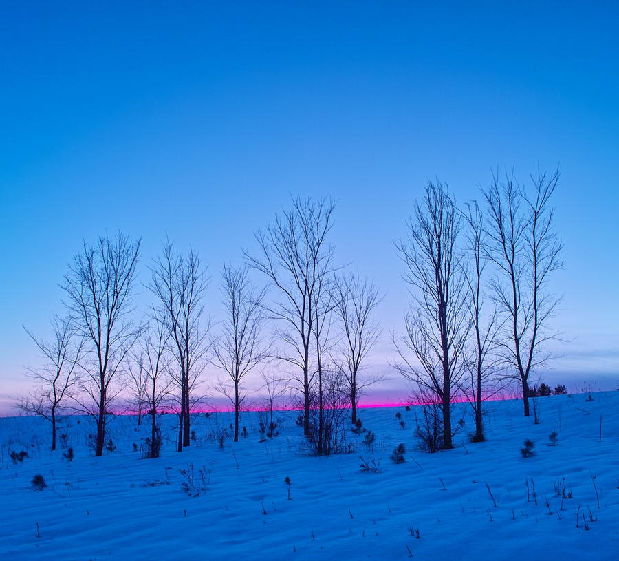 Pink line in blue winter