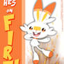 He's On Fire! - Scorbunny