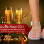 Todo Sobre Windy's - New Year Card 2014
