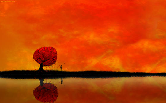 autumn-reflection Widescreen