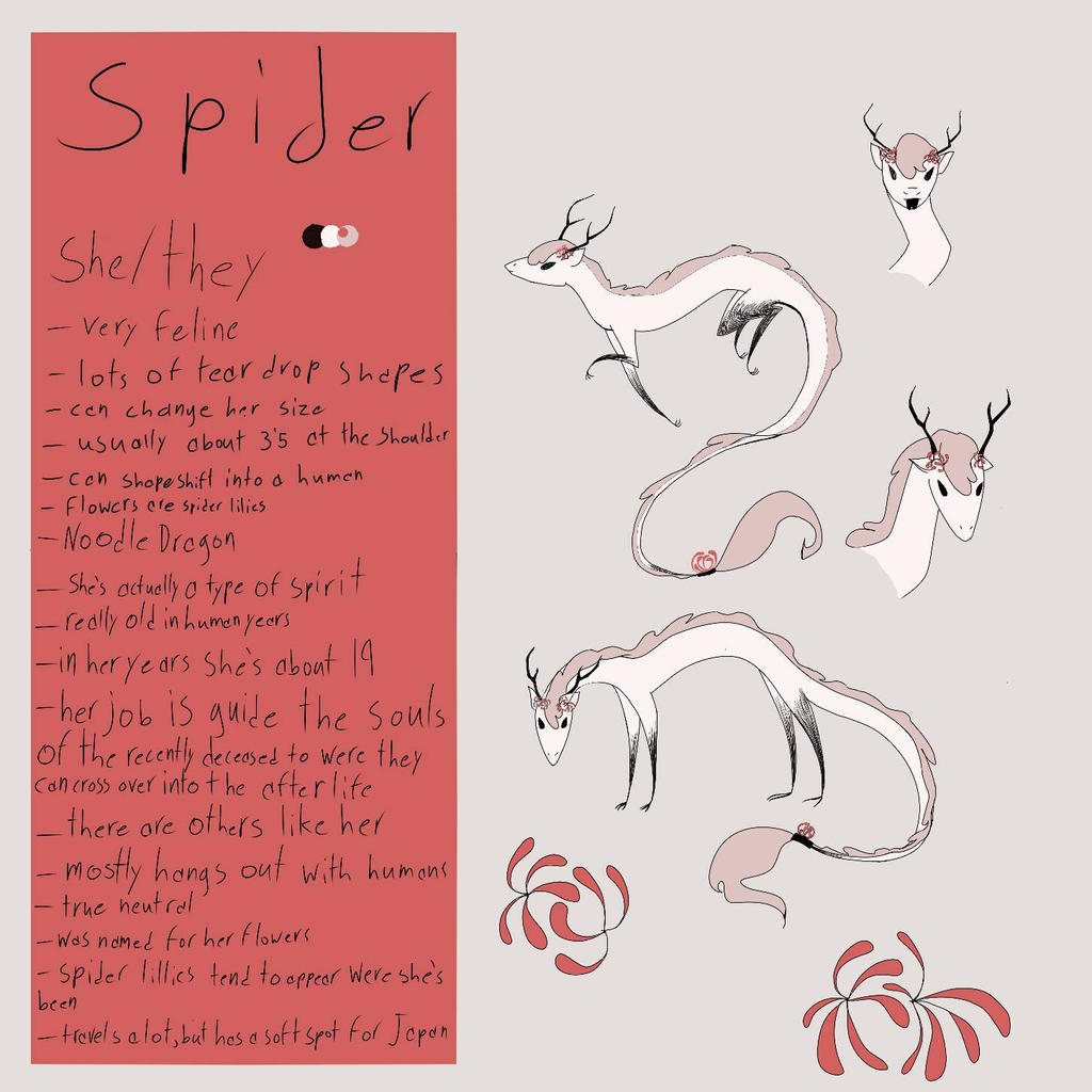 Spider Reference Spider reference sheet by GhostlyTea on DeviantArt