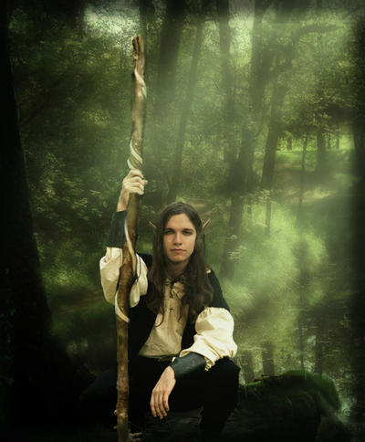 Guardian of the Forest