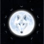 Wolf Moon