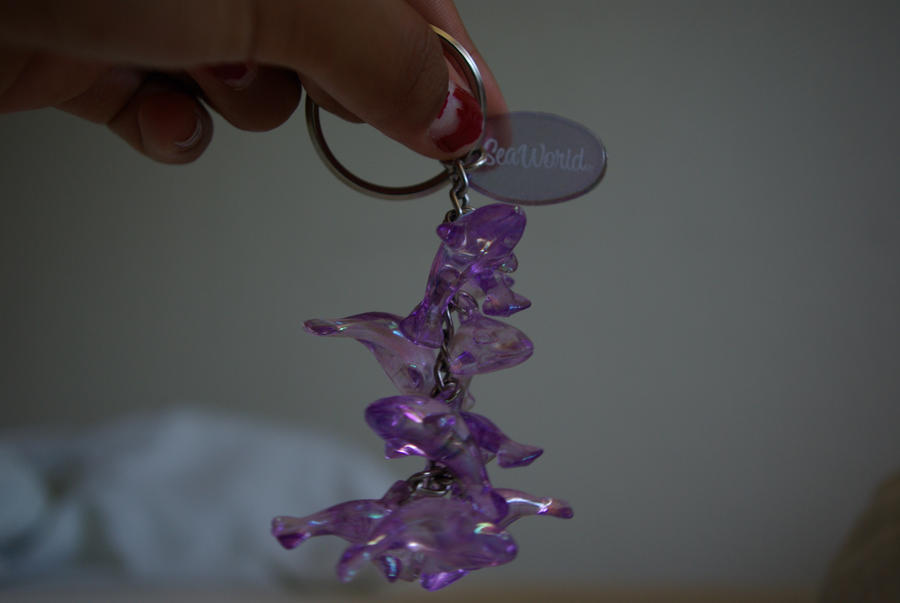 Seaworld keychain by cinnamorollfan90 on DeviantArt