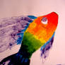 Rainbow fishy