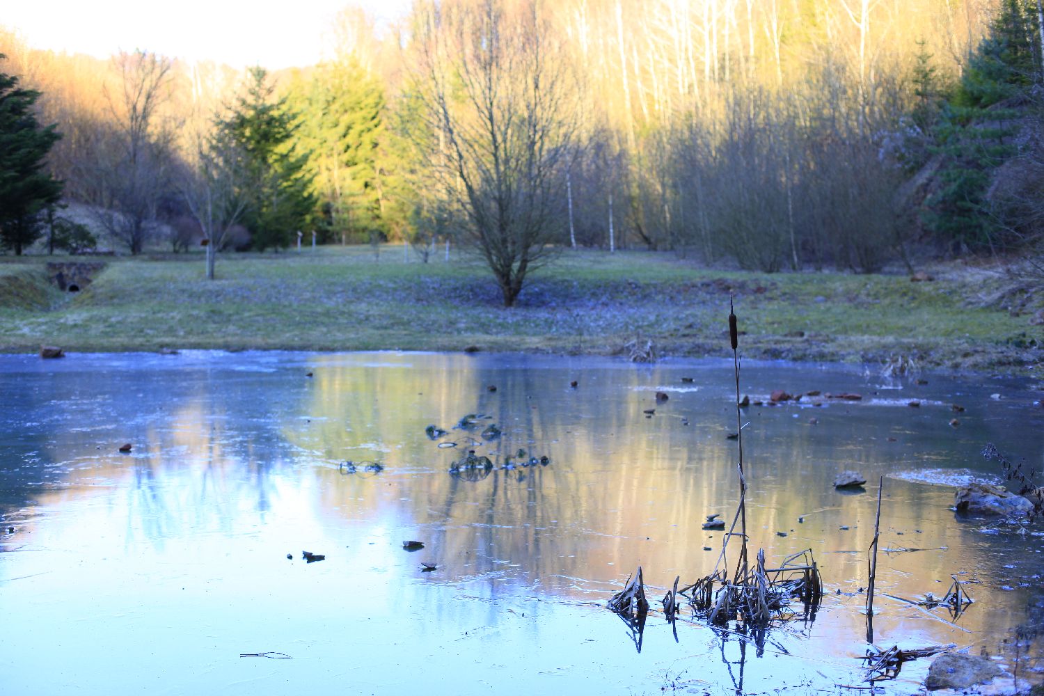 Iced pond