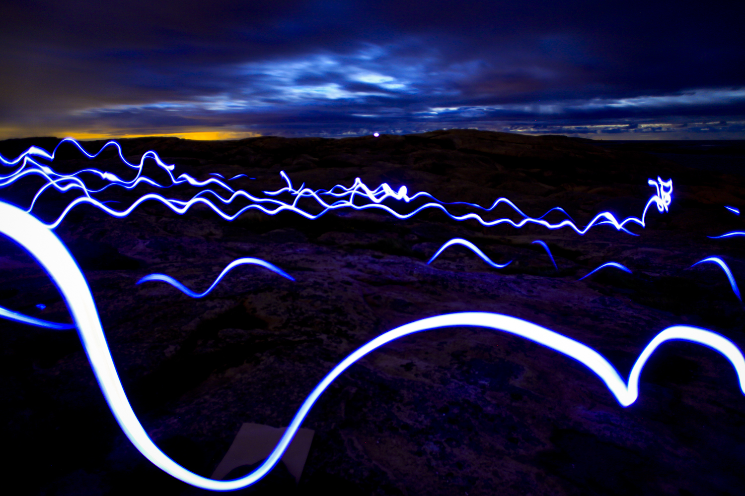 lightpainting in sweden, a cat