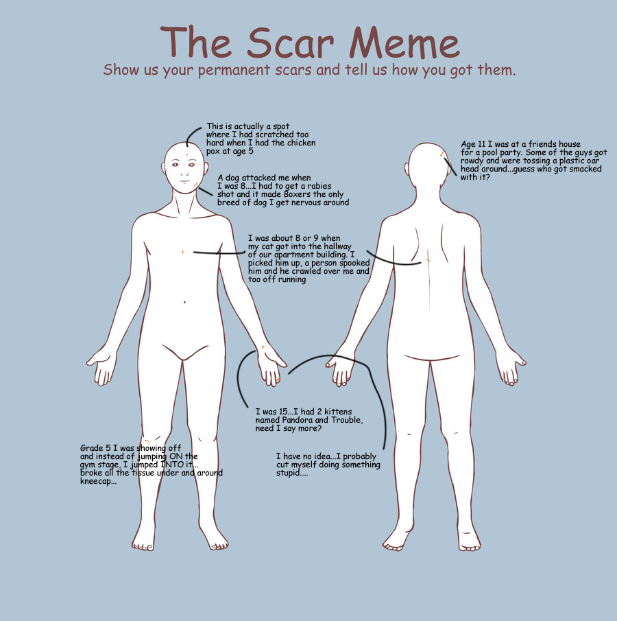 Scar meme