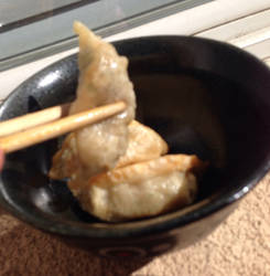 Dumplings (Fried gyoza)