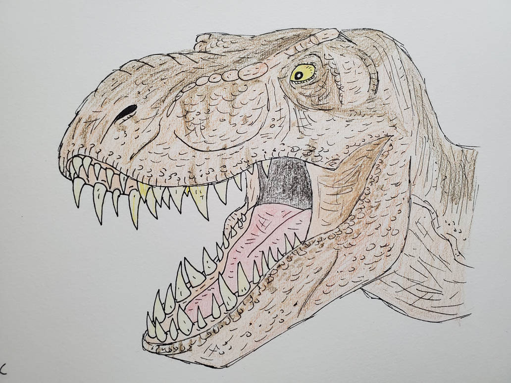 Old Rexy Drawing by prehistoricpark96 on DeviantArt
