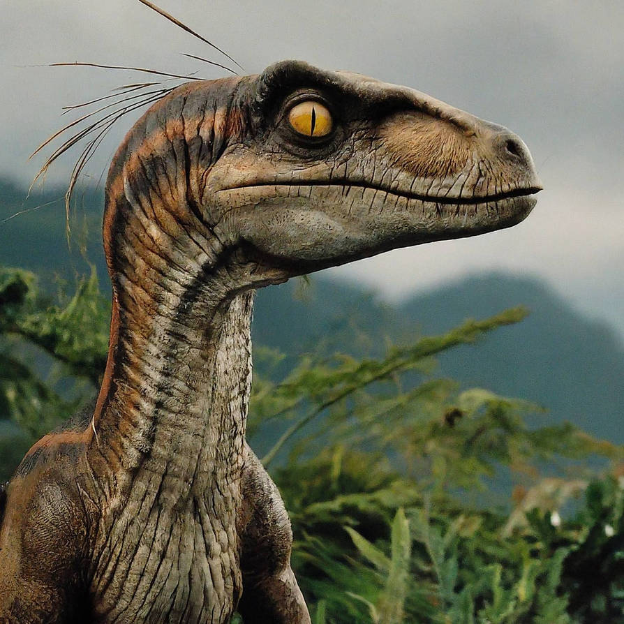 JP Velociraptor by prehistoricpark96 on DeviantArt