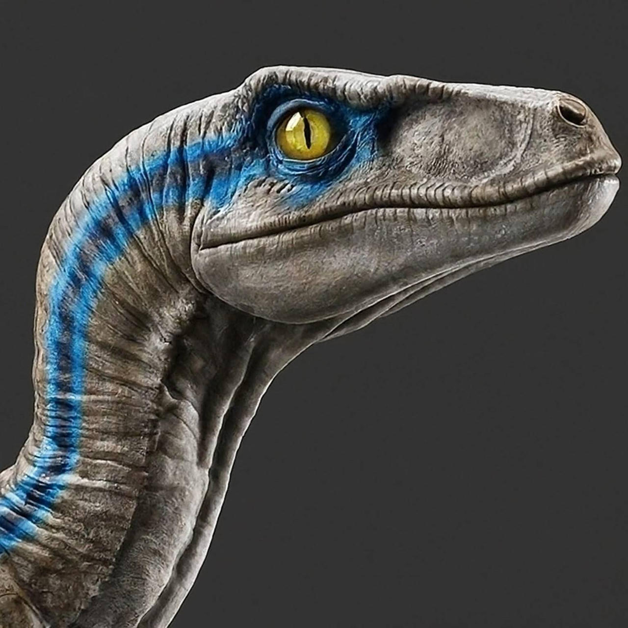 Velociraptor Blue by prehistoricpark96 on DeviantArt