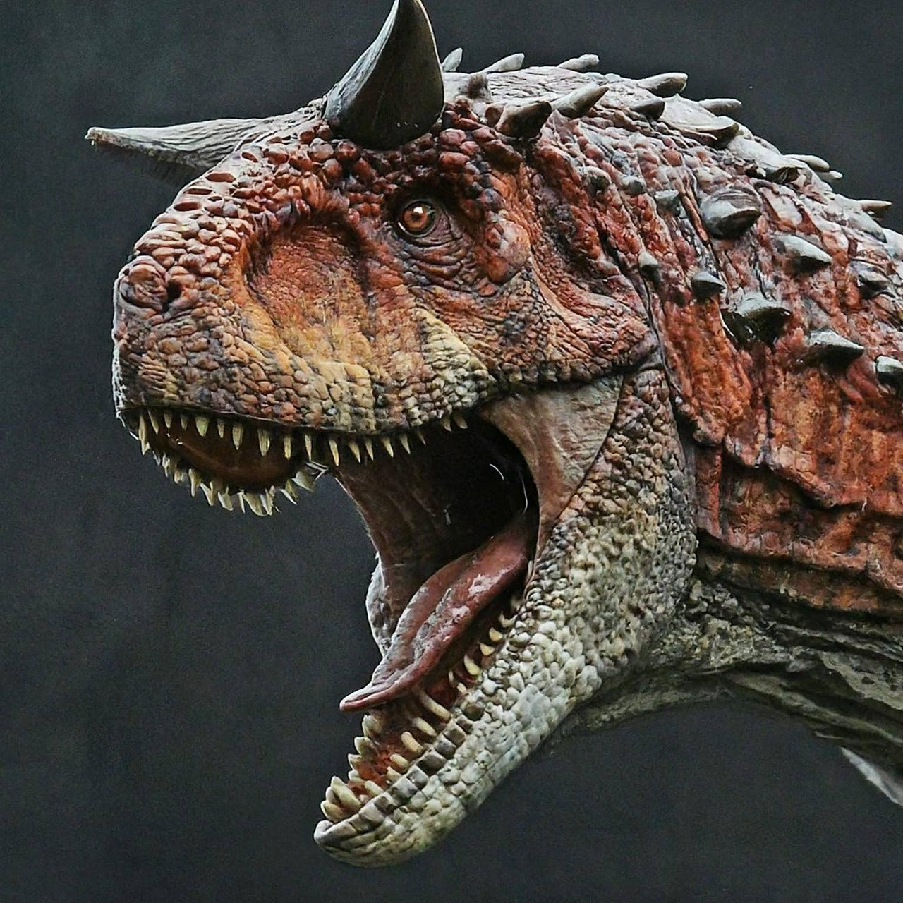 Carnotaurus By Prehistoricpark96 On DeviantArt carnotaurus-by-prehistoricpark96-on-deviantart