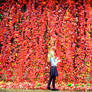 Red Wall Of Flowers