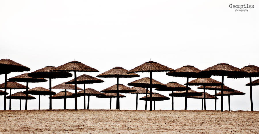 Umbrella Forest