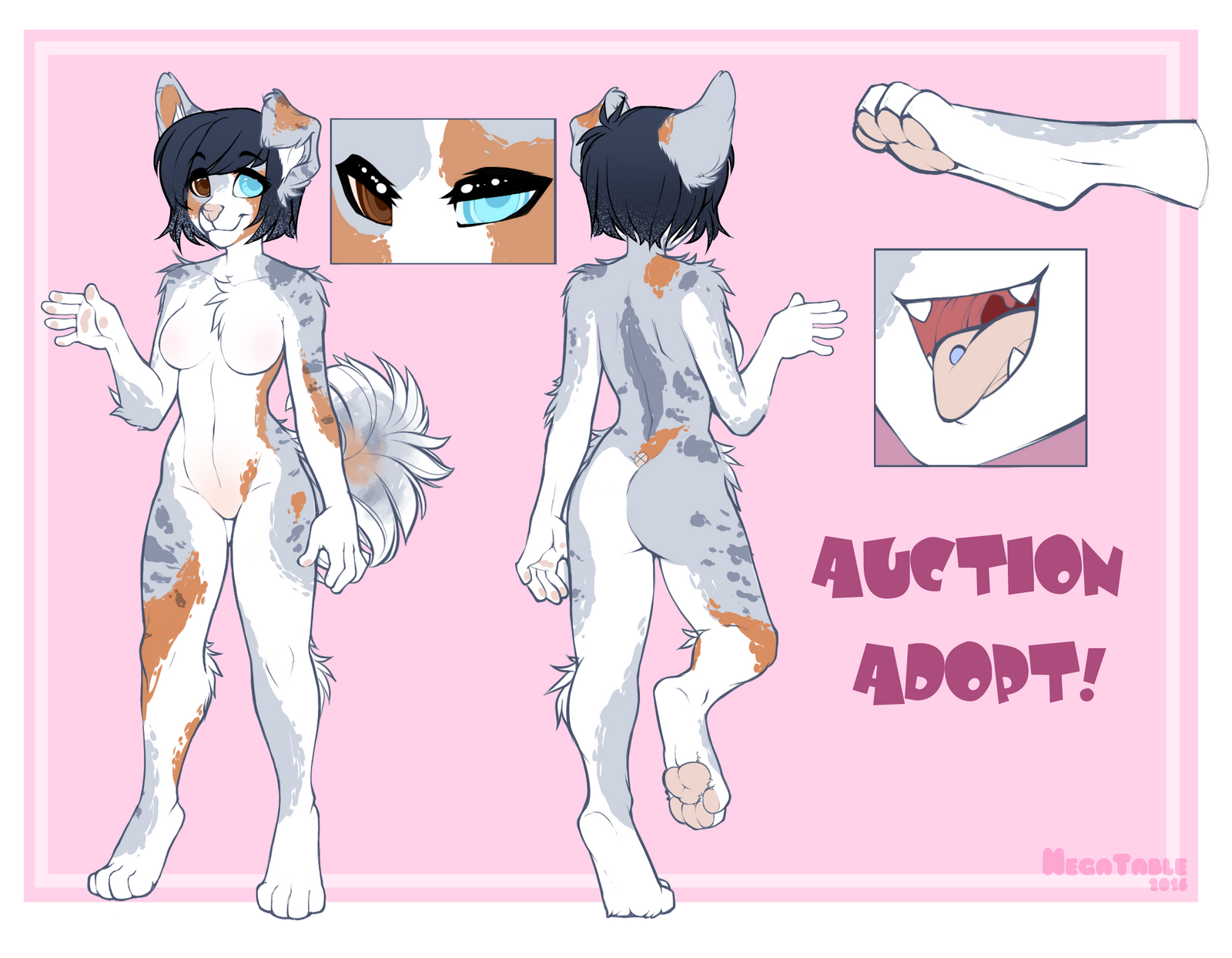 Australian shepherd - Auction adopt CLOSED