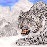 Snowleopard