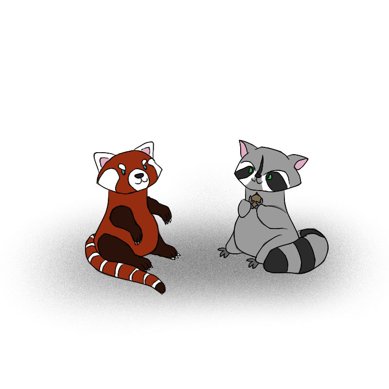 Panda Vs Racoon Red Panda and Raccoon by Wafflecat-of-Waffles on DeviantArt
