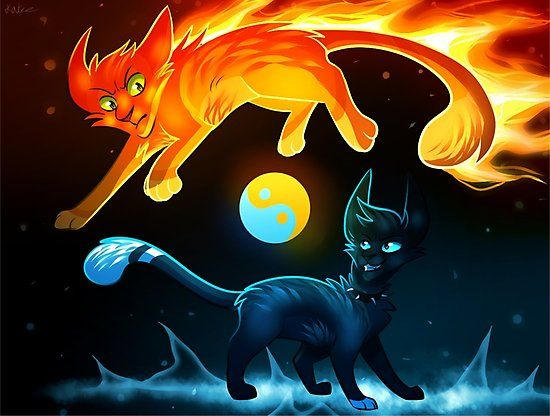 Stray Firestar? - Stray x Warriors Cats by Quietpool6 on DeviantArt