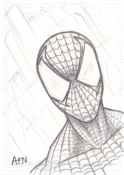 Spiderman Sketch Card