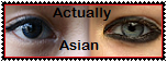 Actually Asian