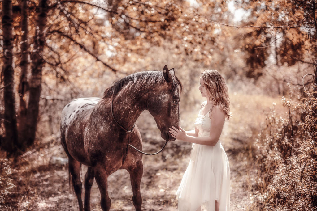 Девки и лошади. Фотосессия с лошадьми. Фотосессия с лошадьми на природе. Девушка с лошадью. Девушка на коне.