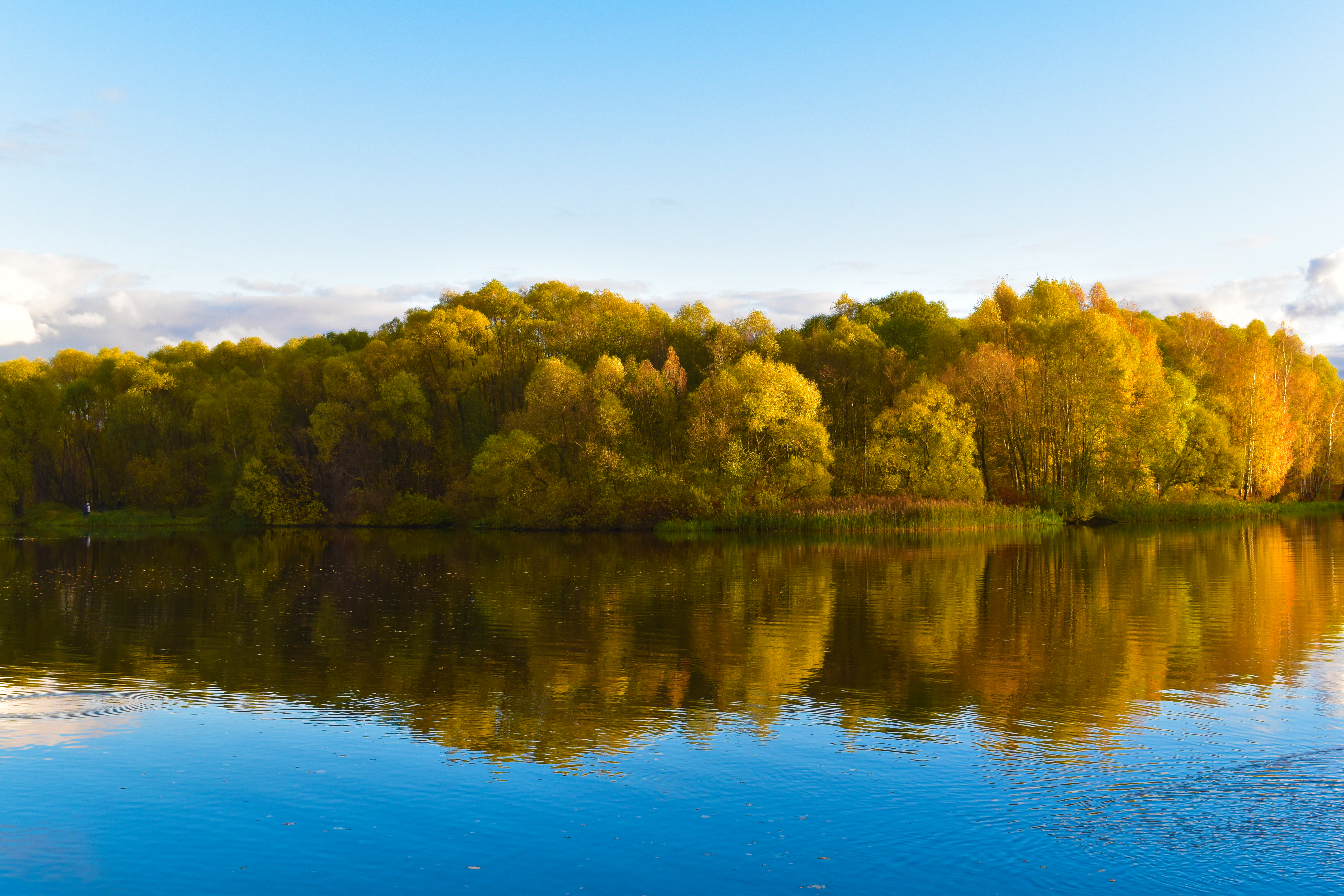 Golden Russian autumn - 1