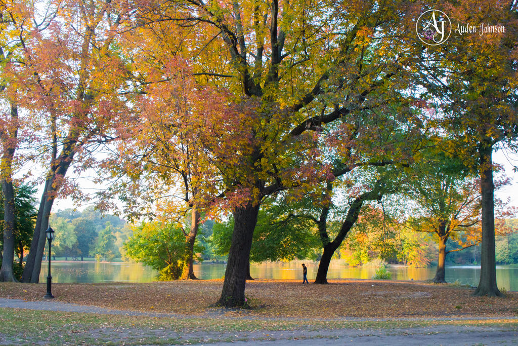 Fall colorful landscape