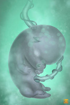 Minotaur Foetus 