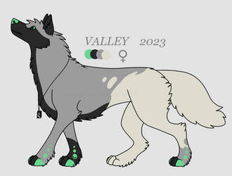 Valley Ref 2023