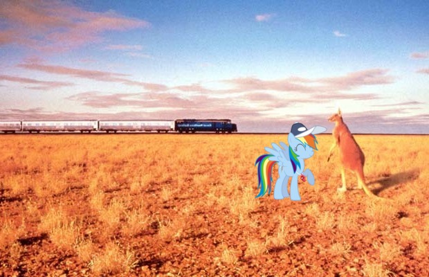 Outback Dash