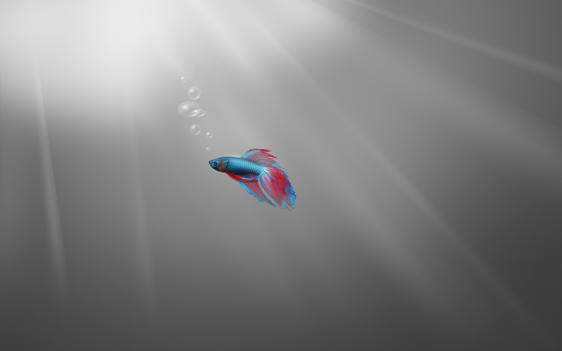 Windows 7 Starter Beta default wallpaper by YueLing11 on DeviantArt Windows 7 Starter Beta default wallpaper by YueLing11 on DeviantArt