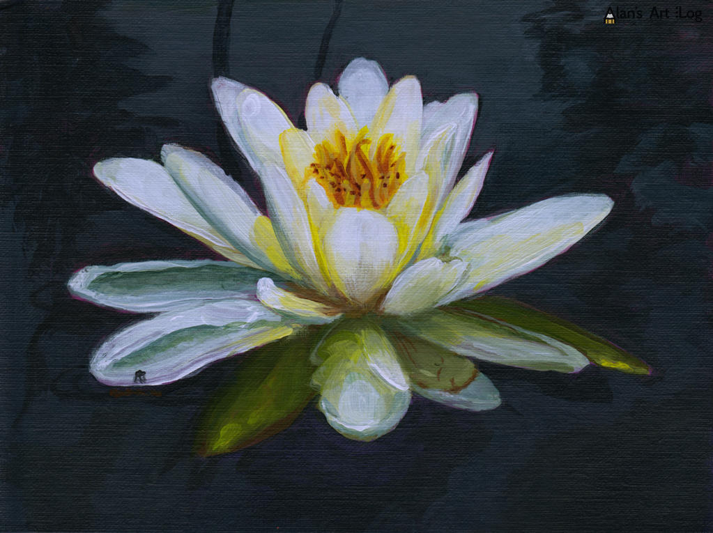 Water Lily Acrylic Painting Wvideo By Alansartlog On Deviantart Water Lily Acrylic Painting Wvideo By Alansartlog On Deviantart