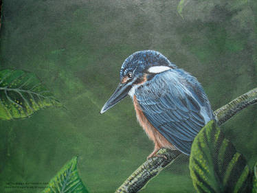 Acrylic Painting - kingfisher II