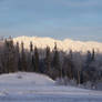 Winter In Wasilla Park 1