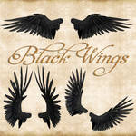 Premium Black Wings