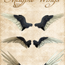 Knotties Magpie Wings