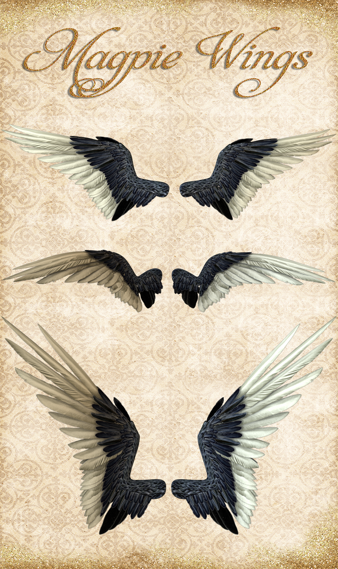 Knotties Magpie Wings by Just-A-Little-Knotty on DeviantArt