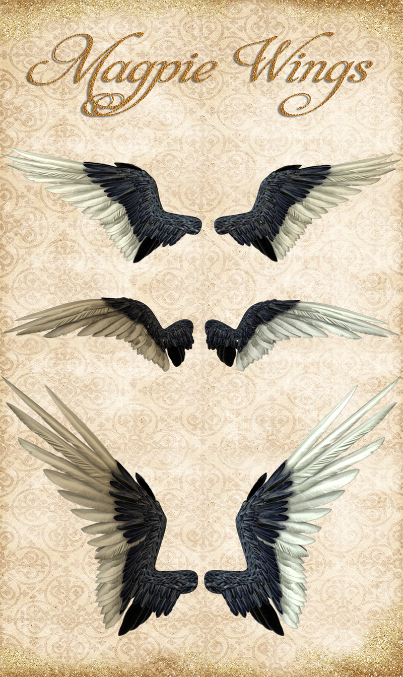 Knotties Magpie Wings