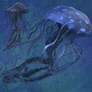 Premium Blue Jellyfish