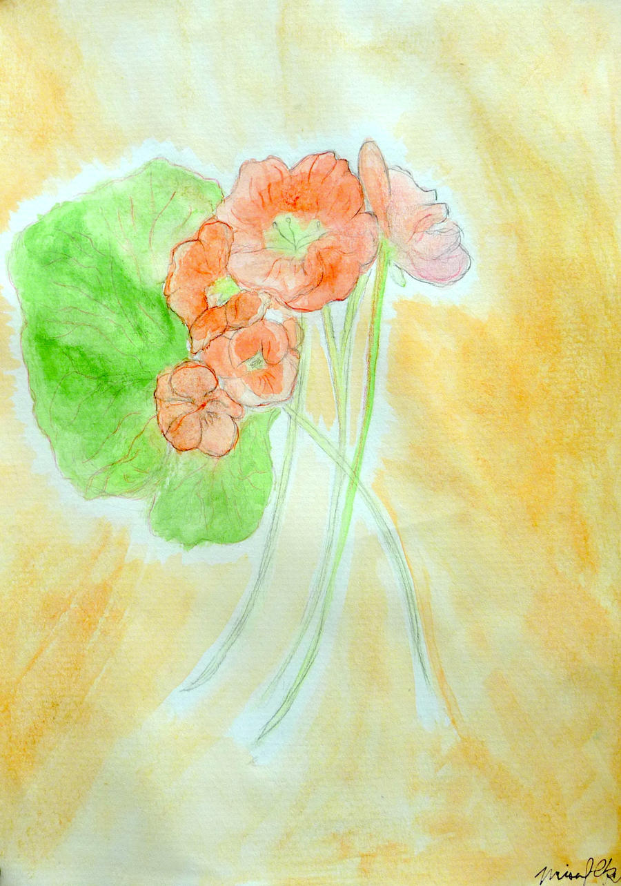 Watercolor Flowers